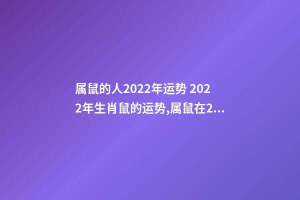 属鼠的人2022年运势 2022年生肖鼠的运势,属鼠在2022年全年运势如何-第1张-观点-玄机派